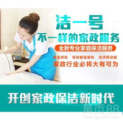 家政服务行业的新变革 以洁一号家政公司为例